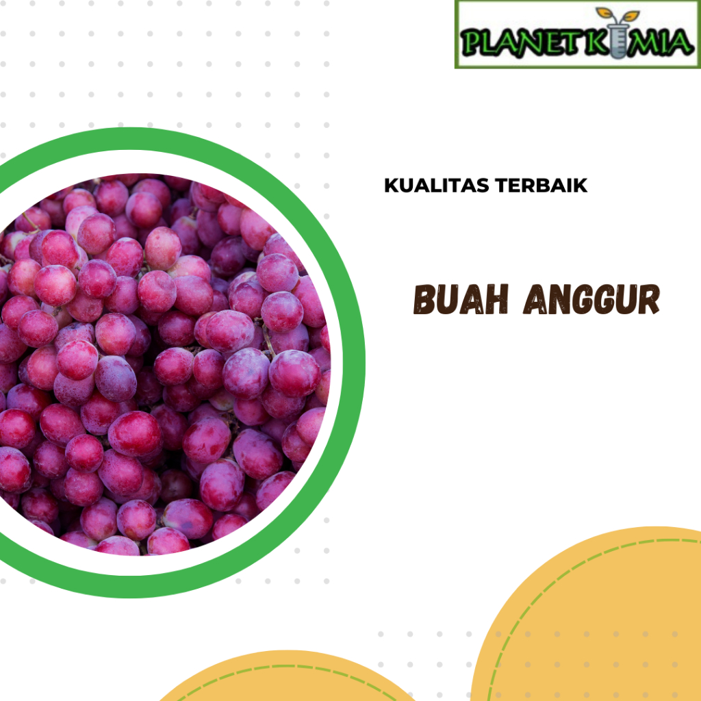 

ekstrak buah anggur best product