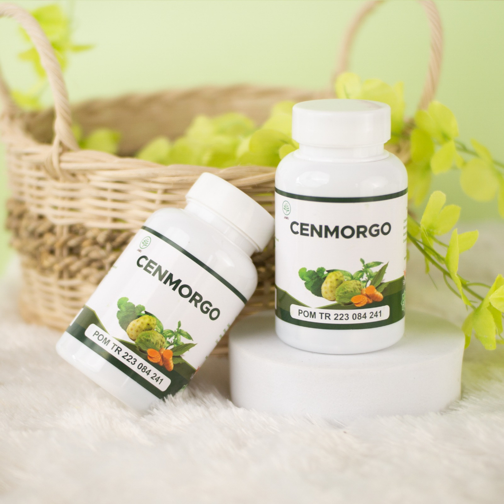 Obat Stroke Struk Strok Struke Penyumbatan Pembuluh Darah Cenmorgo