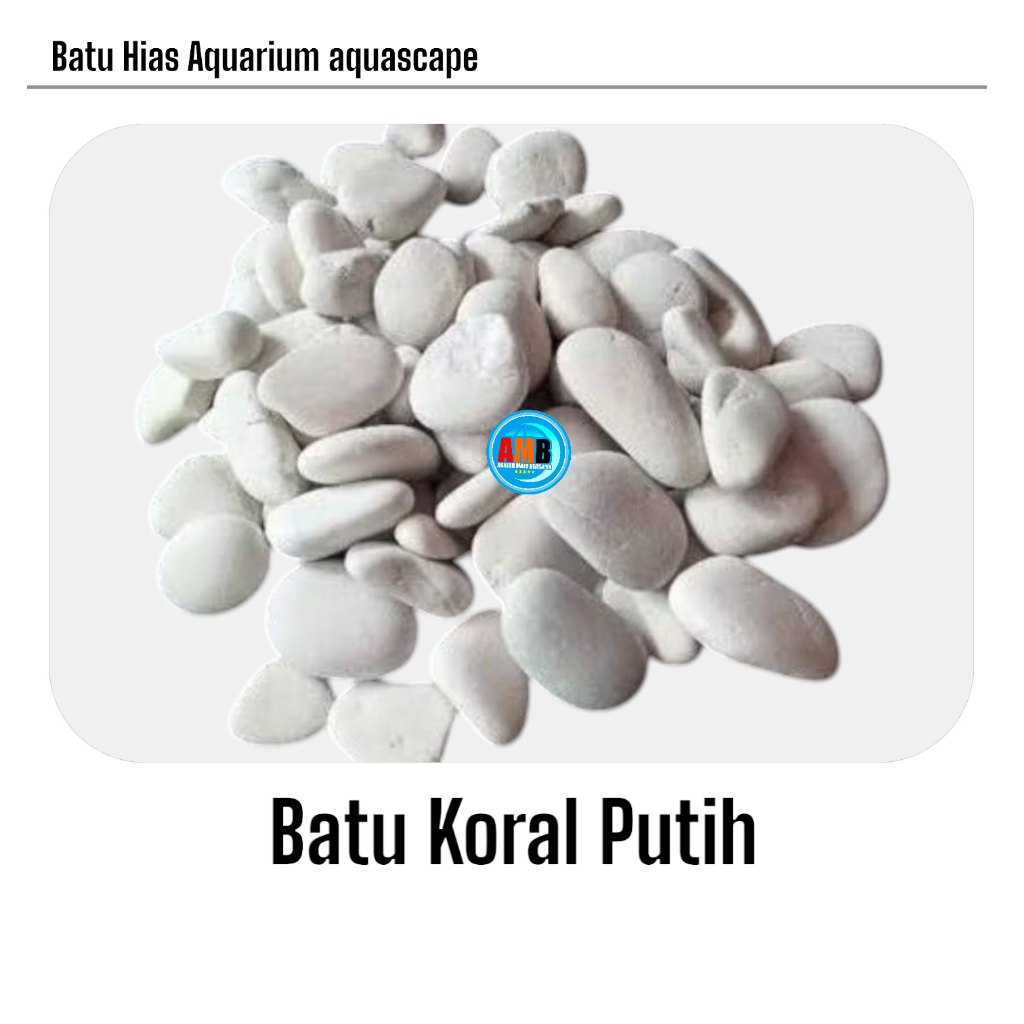 Batu koral putih / Batu coral /Batu koral putih kupang