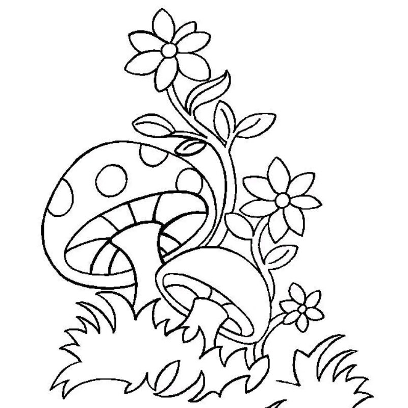 

Gambar mewarnai Sketsa Jamur dan Rumah Jamur (Random) isi 30 lembar