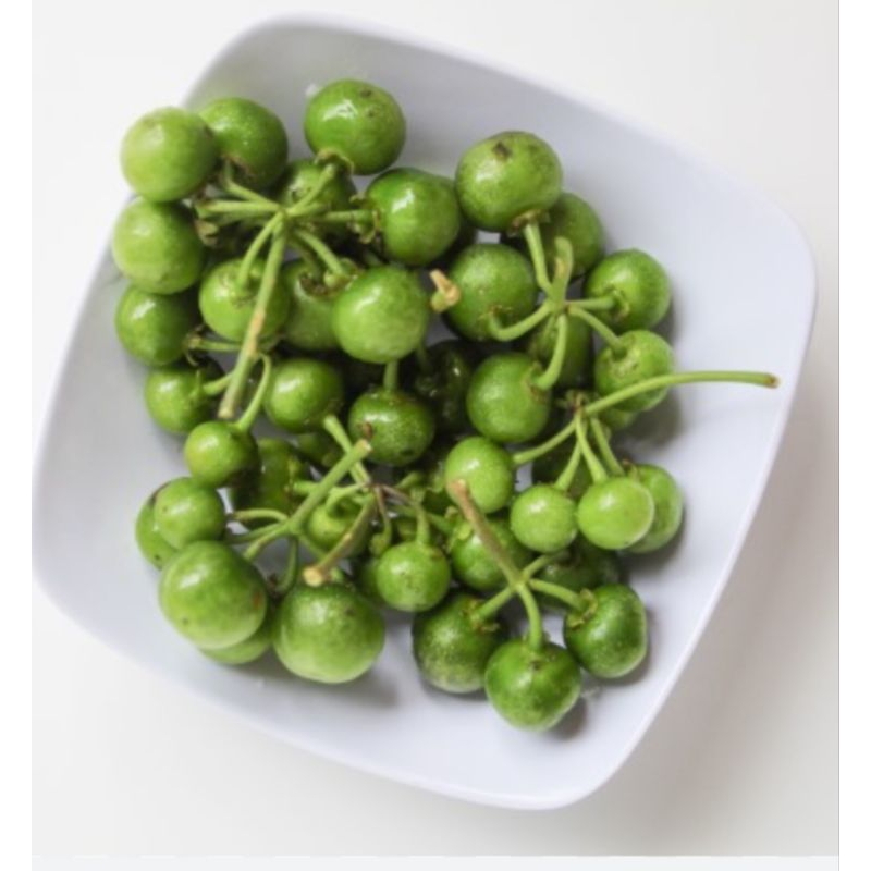 

Sayur Leunca Segar ½kg - 500gram / Sayur Lenca Segar ½kg - 500gram / Sayur Bobosa Segar ½kg - 500gram