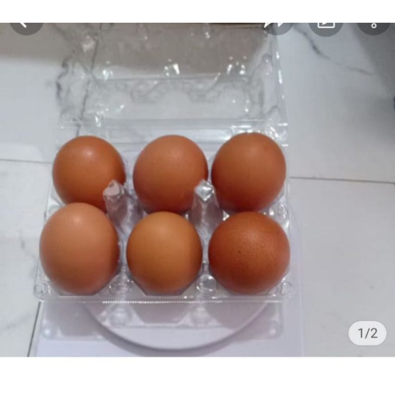 

Telor ayam negeri isi .6