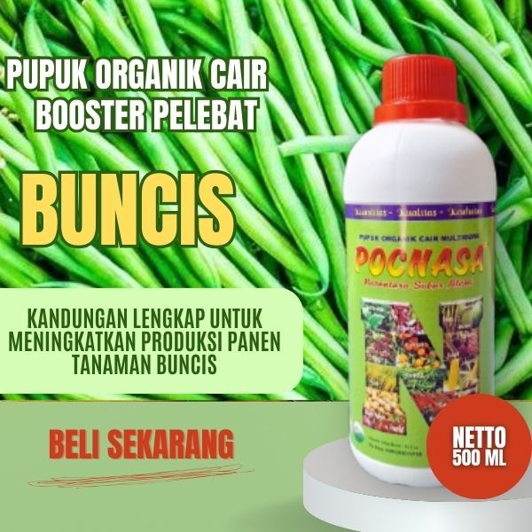 Pupuk Buncis/ Pupuk Buncis Lebat / Pupuk Buncis Pertiwi / Pupuk Buncis POC / Pupuk Organik Buncis