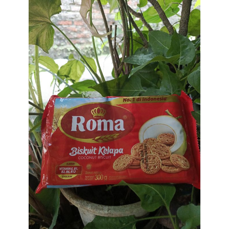 

[jangan dibeli] Roma kelapa - biskuit kelapa Berat bersih 300g