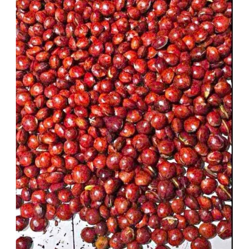 

JENGKOL 1Kg