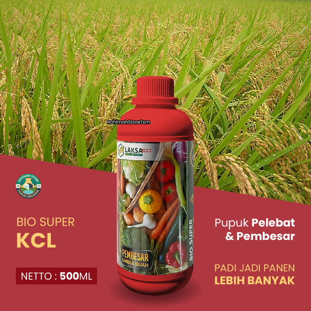 PROMO PUPUK PADI CEPAT BERBUAH BIO SUPER KCL 500ML - PUPUK PELEBAT PEMBESAR DAN PENYUBUR TANAMAN PAD