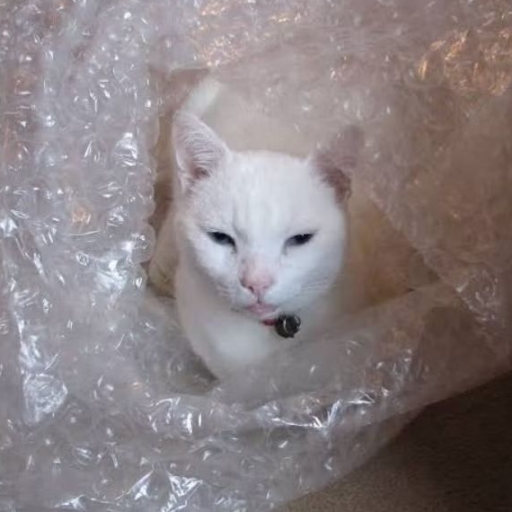 

extra packing