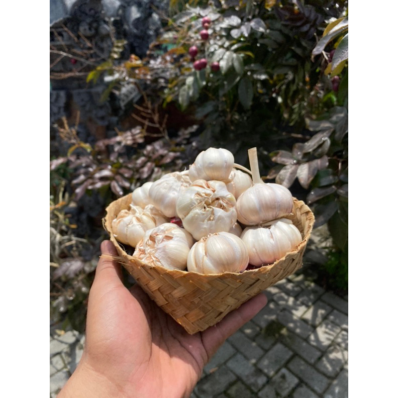 

Bawang Putih bersih berat 1Kg