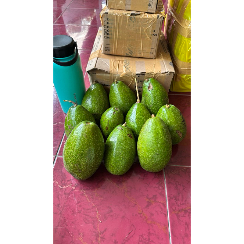 

ALPUKAT MENTEGA B10/ BO KHONG TEN 1KG ISI 2-4 biji