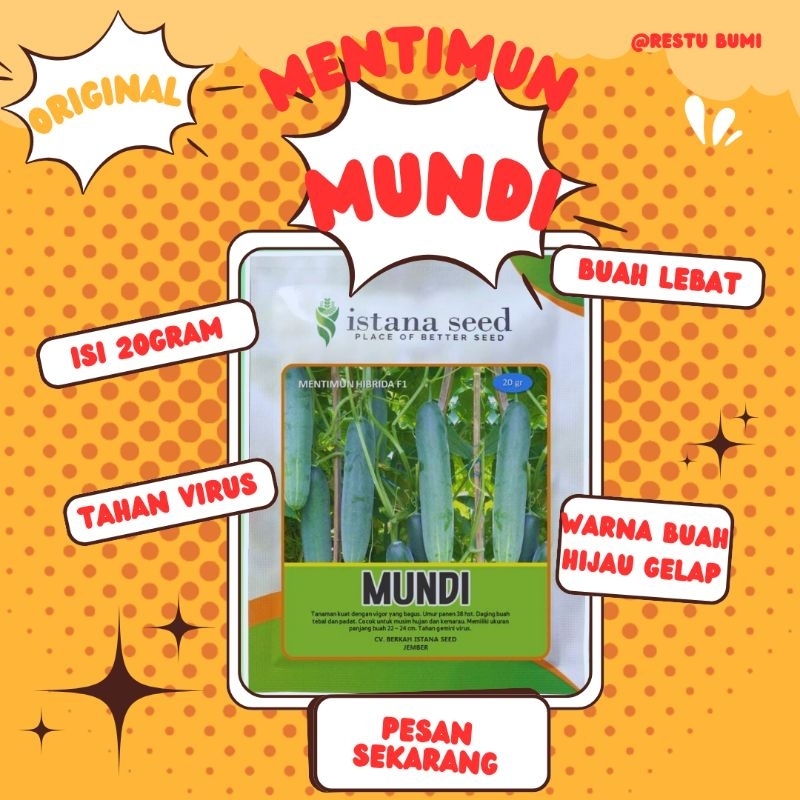 

Mentimun MUNDI