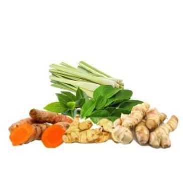 

Paket Bumbu Dapur Sayuran Segar Fresh Lengkap