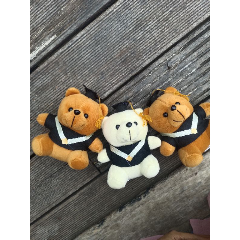 Boneka wisuda mini boneka teddy wisuda mini