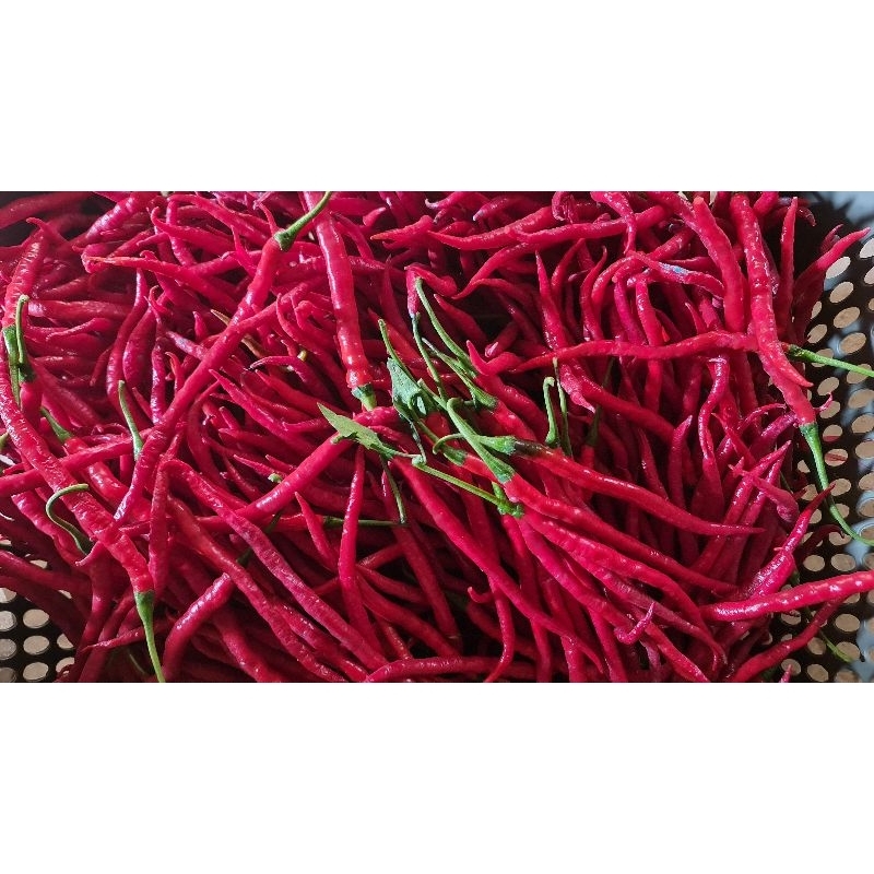 

Cabe keriting merah segar