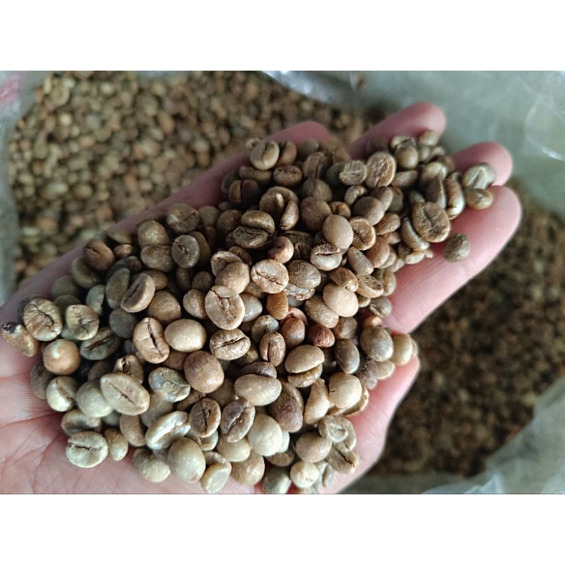 

Robusta Ijen