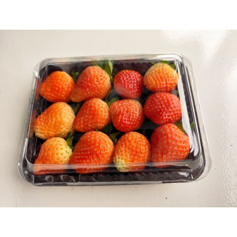 

strawberry grade AB fresh/dastong dadakan kebun ciwidey