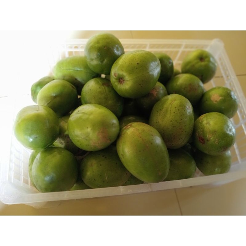 

1kg buah kedondong segar manis