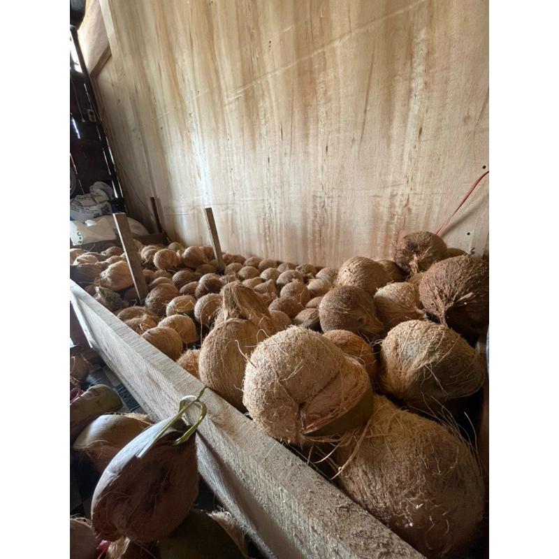 

KELAPA TEBALHARGA MURAH