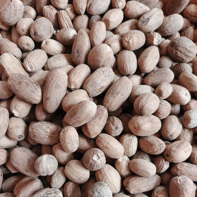 

Pala Kupas Ambon K1 Asalan