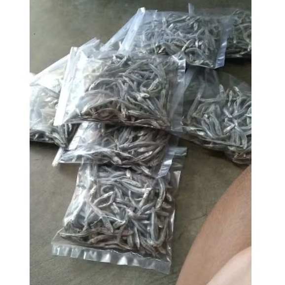 

ikan teri