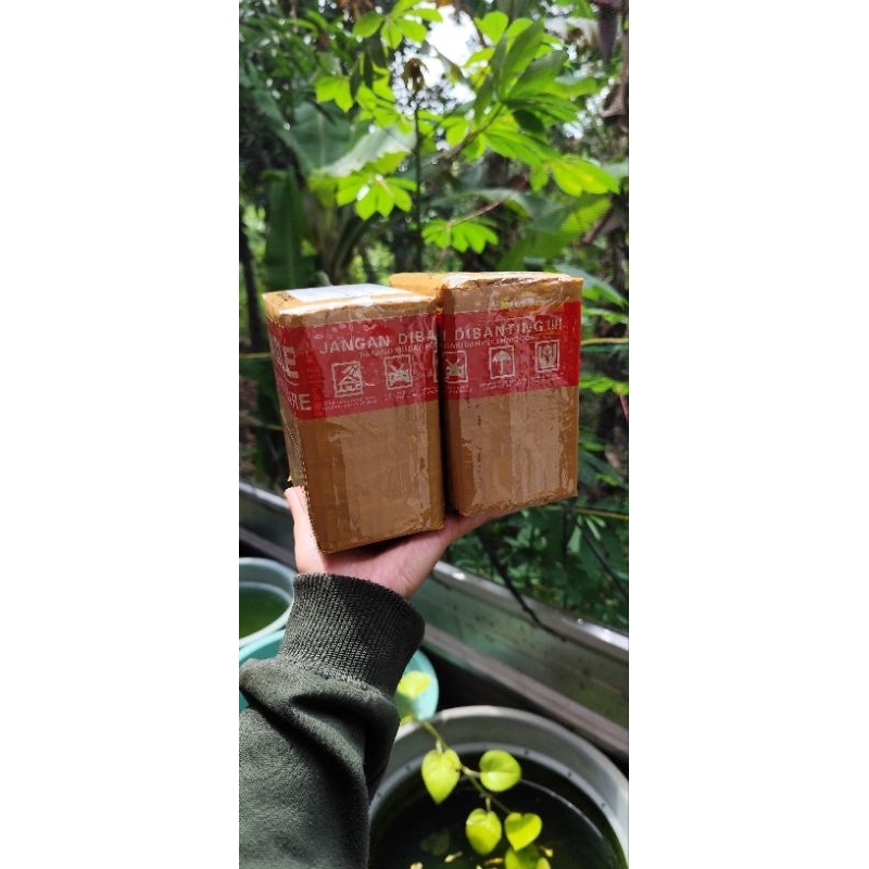 

kardus paking guppy mini panda || aksesoris akuarium || grade A