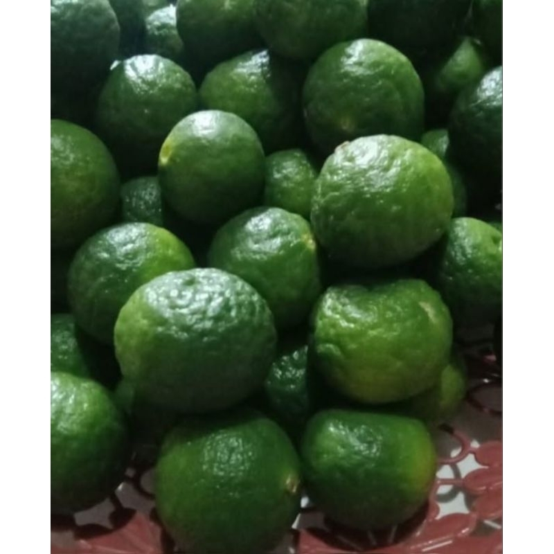 

jeruk limau jeruk sambel jeruk limo ukuran sedang 500g