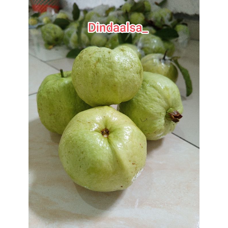 

jambu kristal fresh paket 2 kg