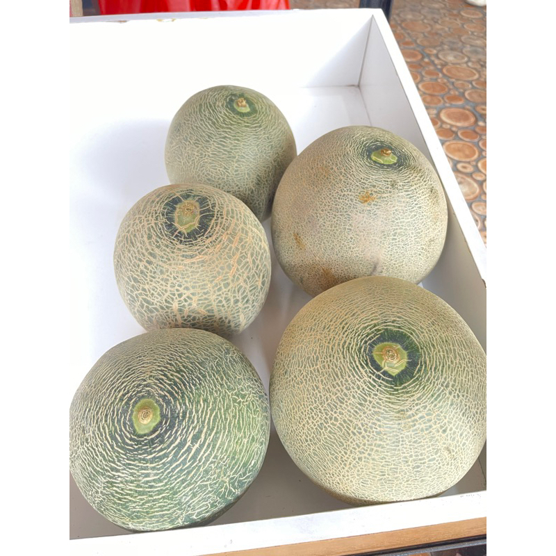 

melon lokal free potong