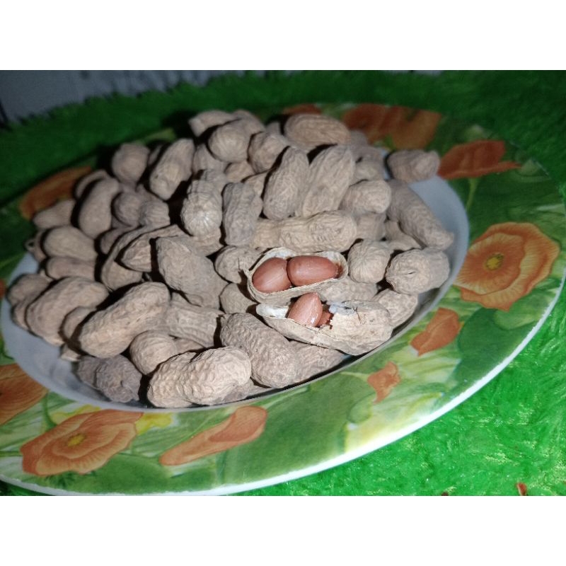 

kacang kulit sangrai