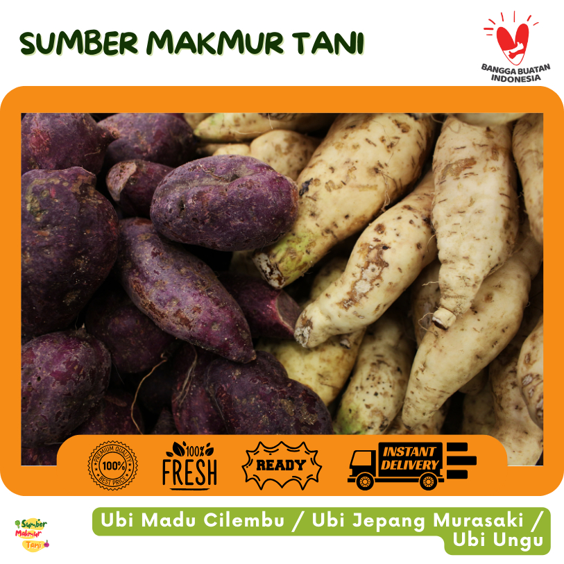 

[TERMURAH] Ubi Madu Cilembu / Ungu Jepang Manis / Ubi Merah Oren Petani Lokal Sehat Diet 1kg