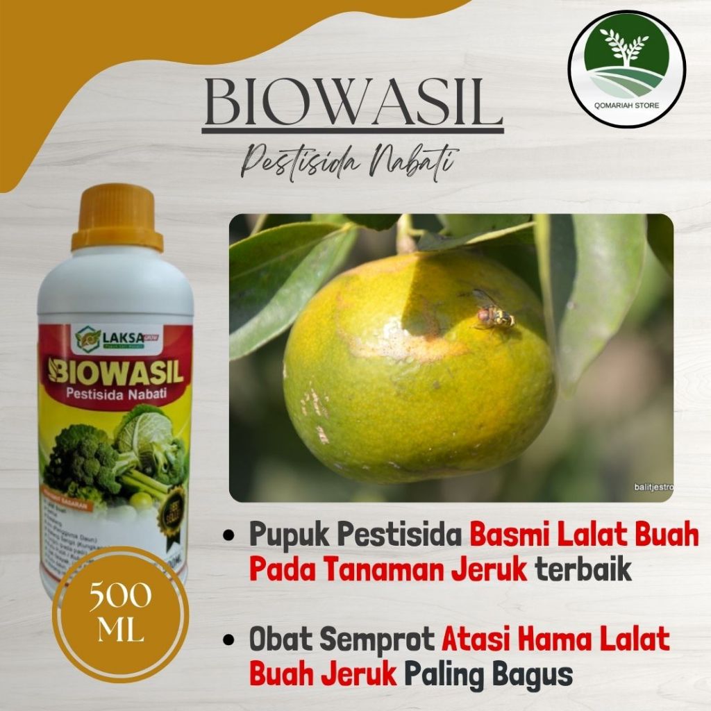 Termurah Pupuk Pestisida Lalat Buah Jeruk Paling Ampuh - BIOWASIL 500ML - Obat Semprot Basmi Lalat B