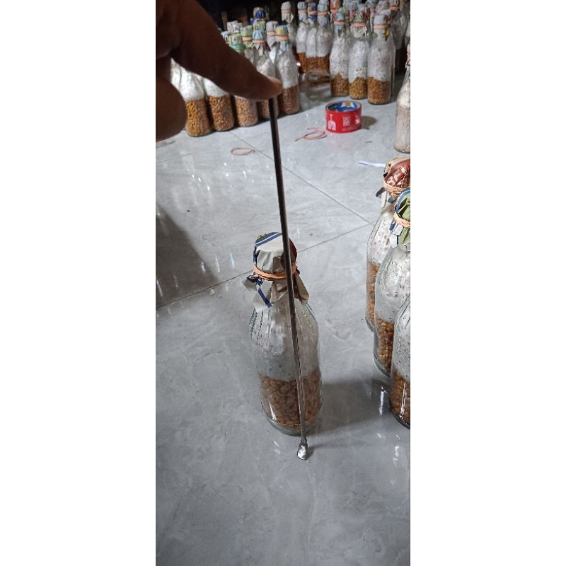 Spatula jamur tiram/sendok bibit jamur