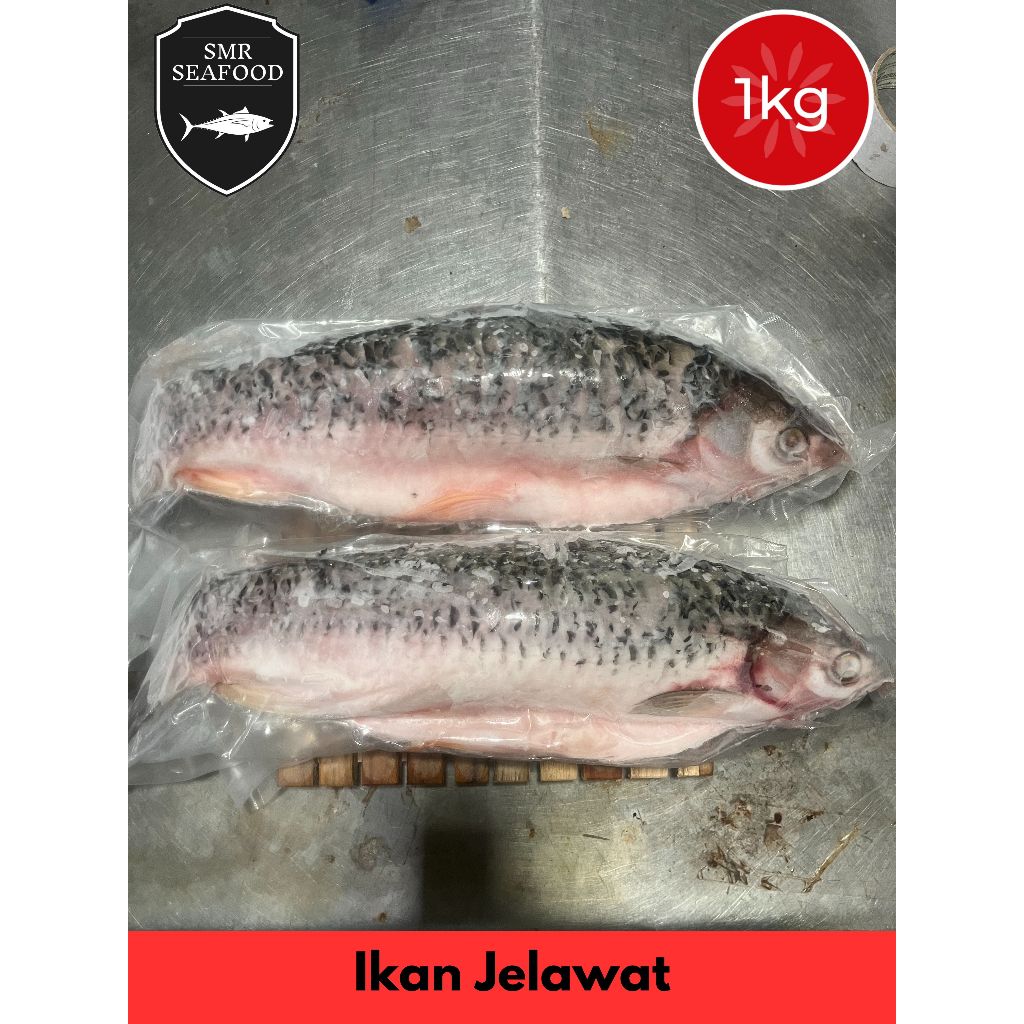 

Ikan Jelawat / Ikan Sultan | Frozen Beku Utuh 1KG++