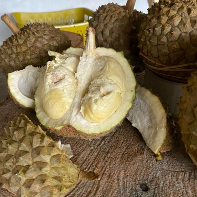 

Durian Sukun (lokal Premium)