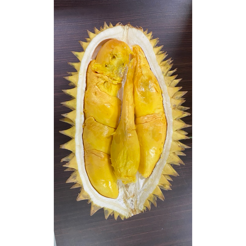

Duren kuning murah