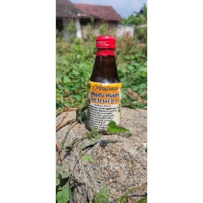 

MADU ASLI HUTAN SUMATRA /MADU MURNI 200 gr