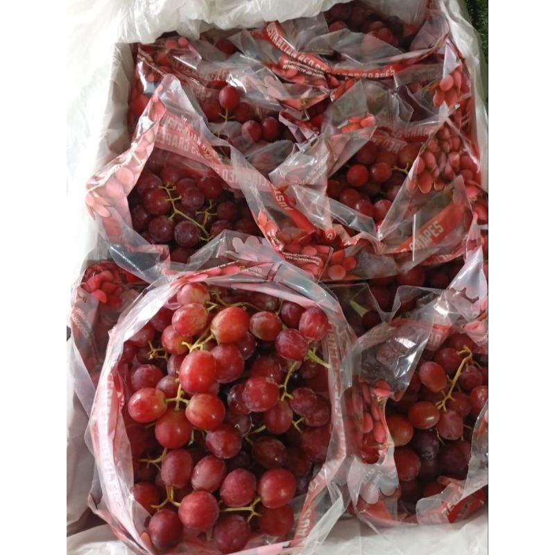 

ANGGUR RED SEEDLESS FRESH