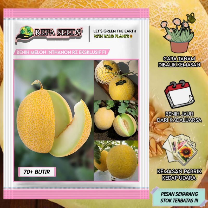 Isi (70 Butir) Benih Melon Premium Inthanon RZ F1 Kemasan Original / Melon Inthanon