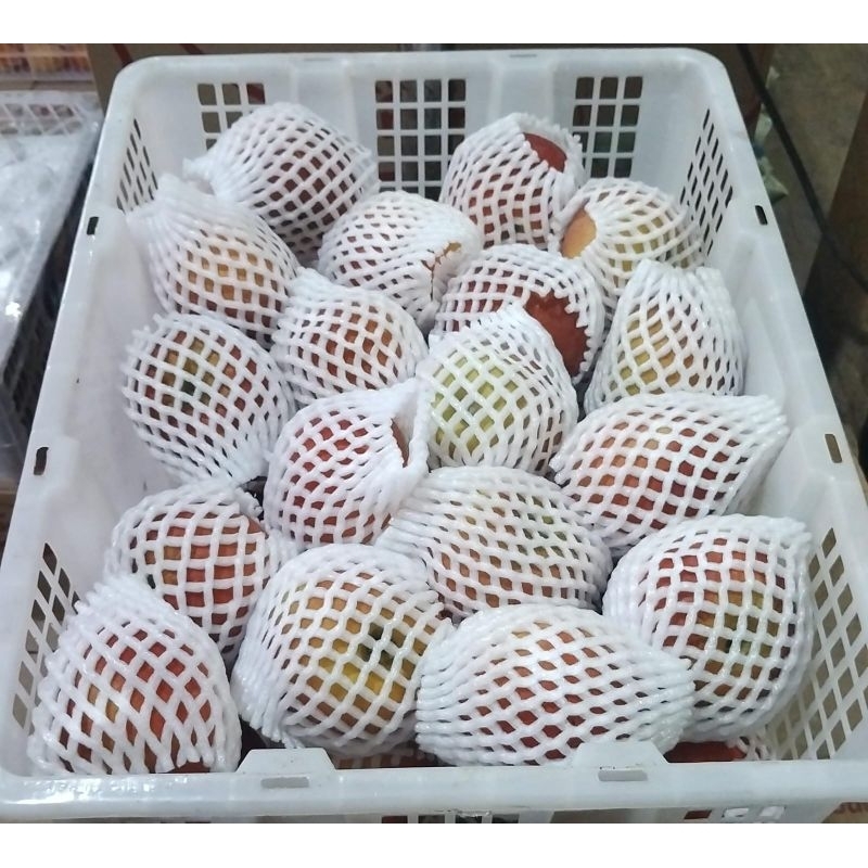 

Indukbuah Buah Apel Madu Gala China 1 Keranjang 7kg