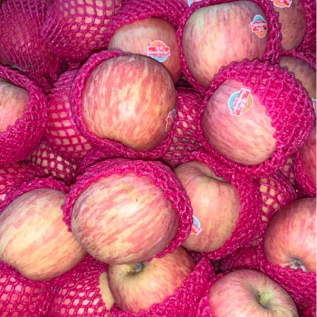 

buah apel fuji manis dan renyah