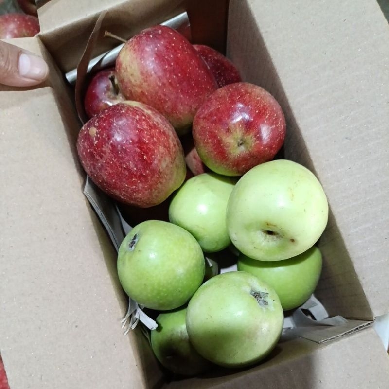 

apel malang mix 1kg