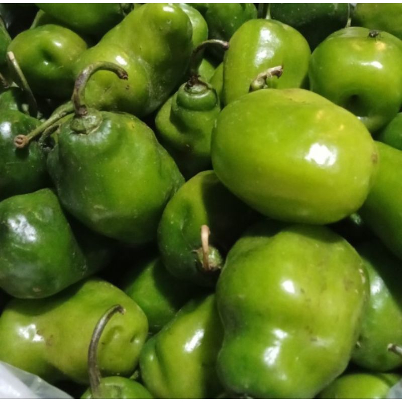 

cabai gendot/cabe kompor