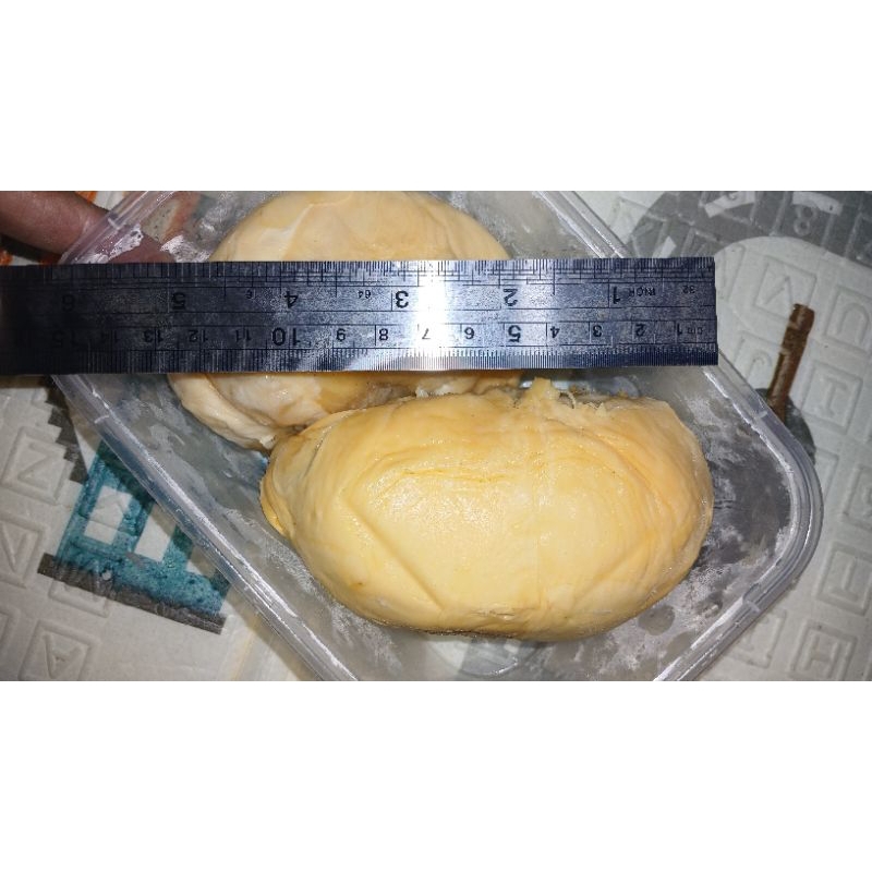 

Durian Montong Super