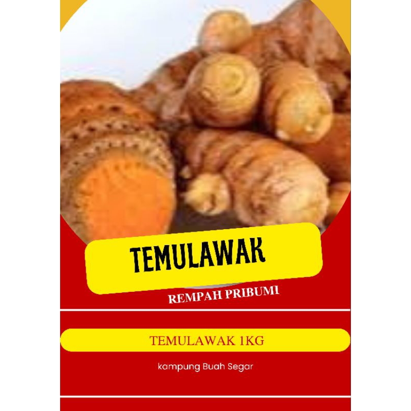 

temulawak segar asli 1kg