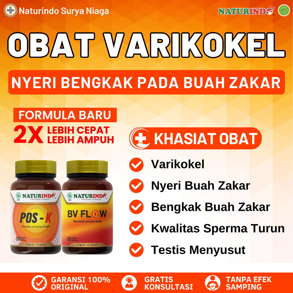 Obat Varikokel Nyeri Bengkak  Varises di Buah Zakar dan Sperma Tidak Subur