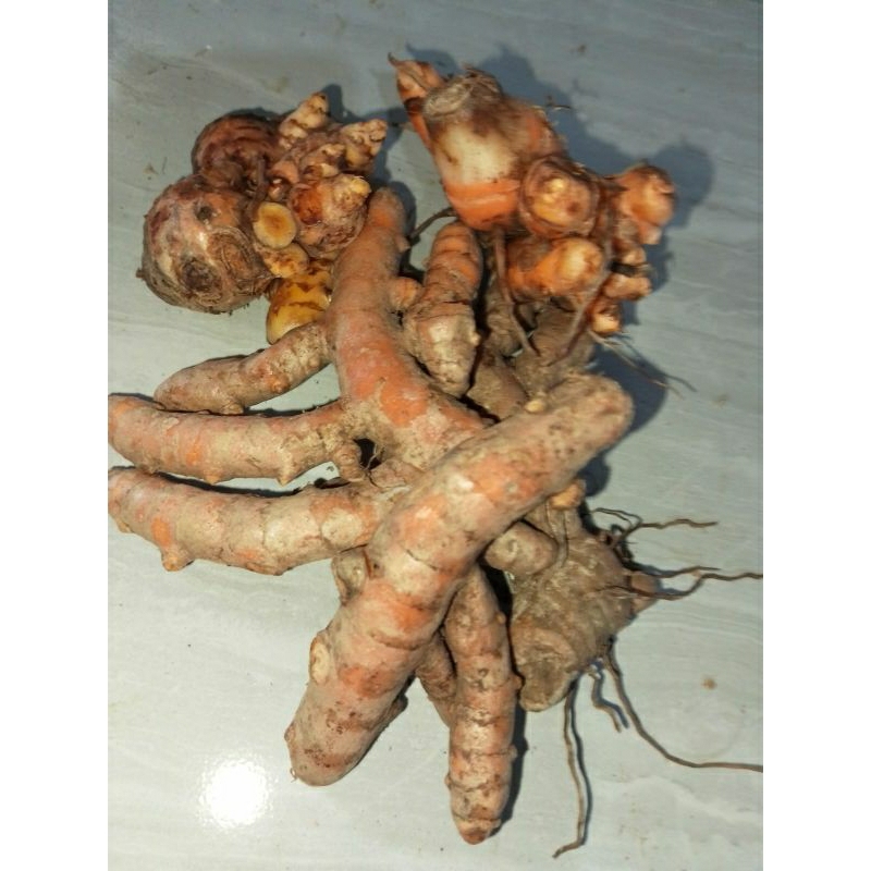 

Kunyit/Kunir Bumbu Dapur