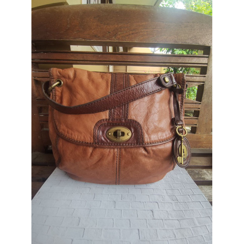 Preloved Tas Fossil Heritage