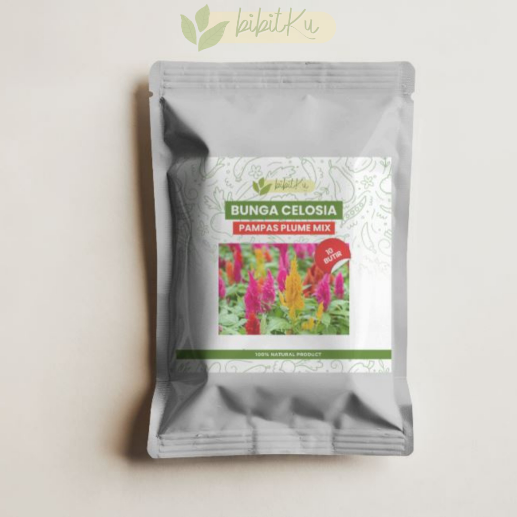 Bibit Benih Bunga Celosia Bunga Cantik