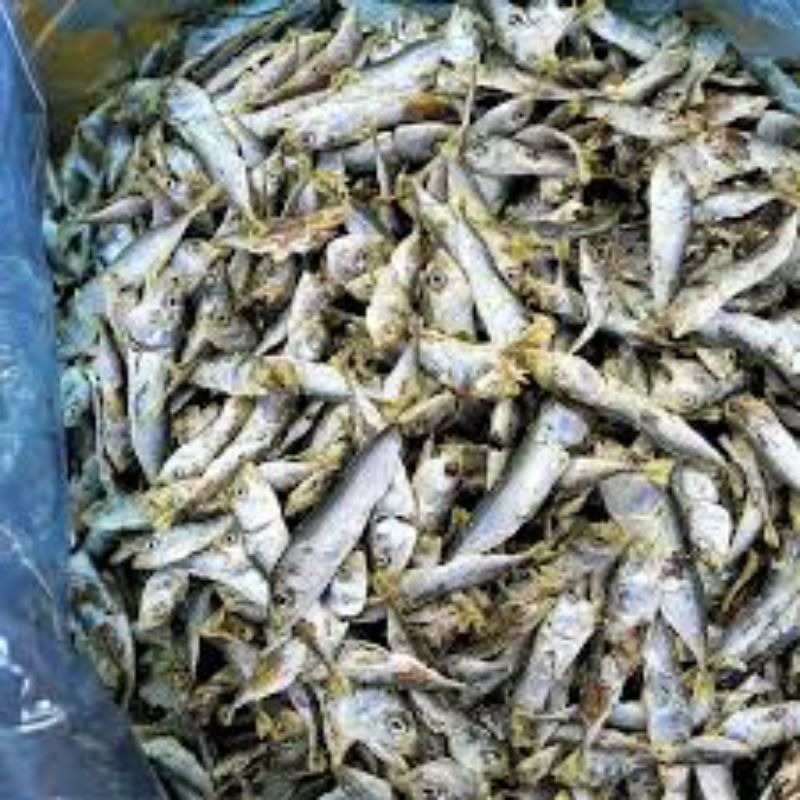 

ikan asin serba 5000,aneka ikan asin murah