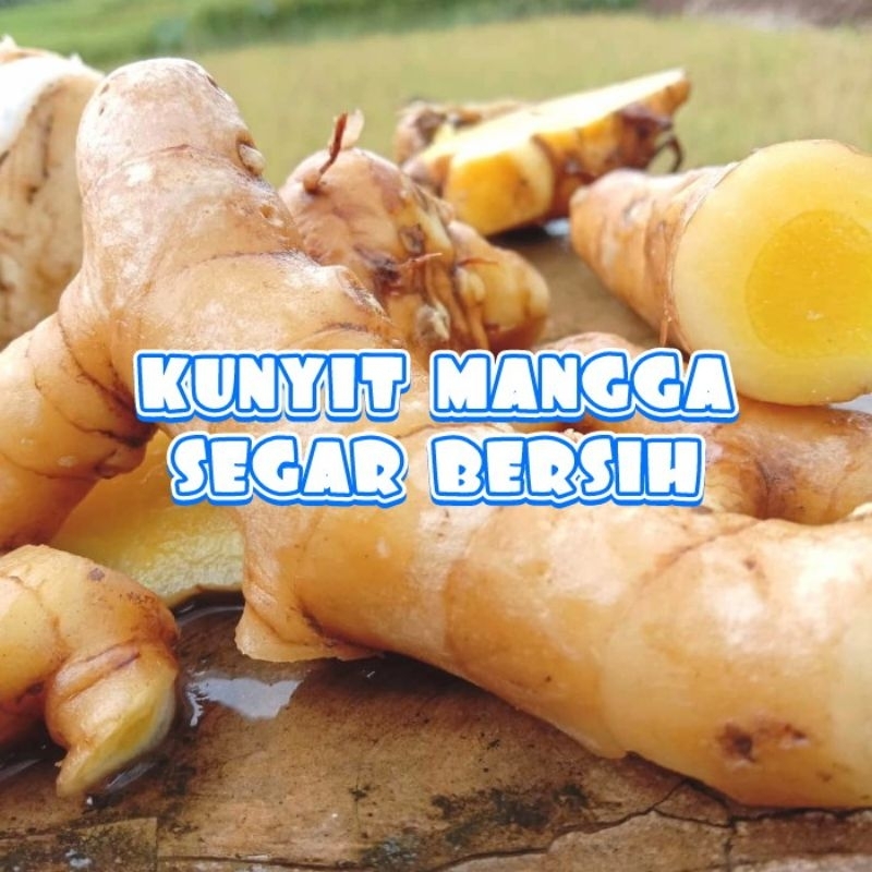 

kunyit mangga segar 1 kg