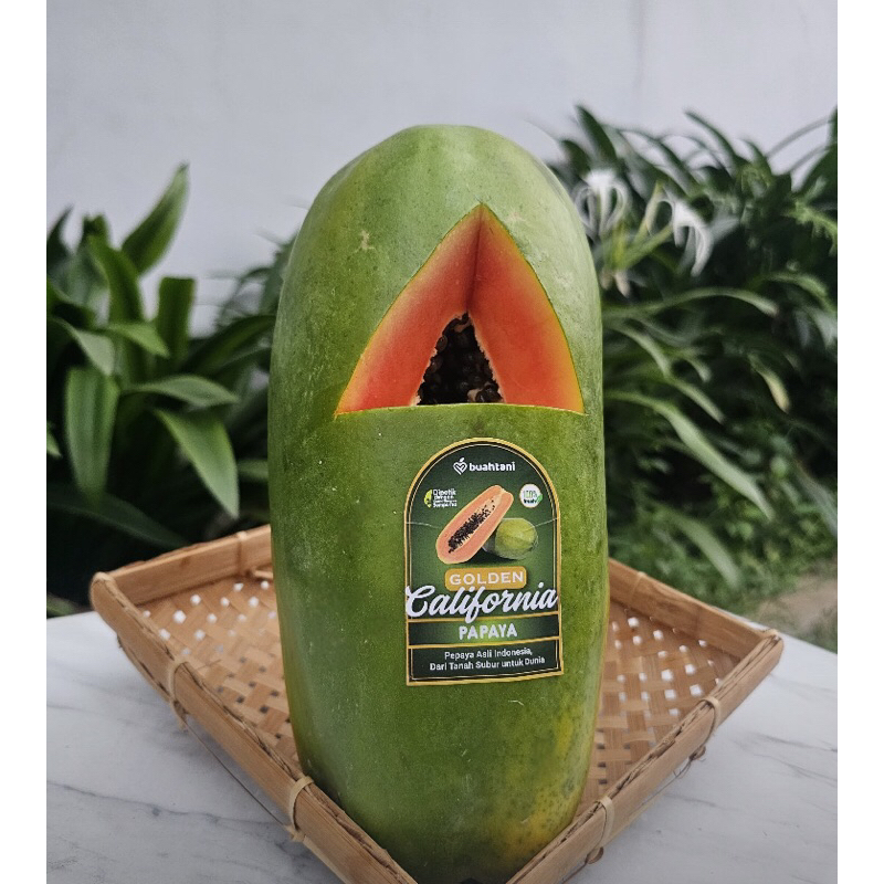 

Pepaya Golden California -+15kg